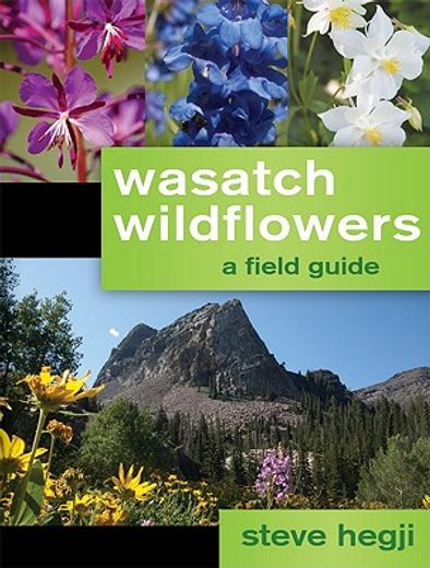 wasatch wildflowers (en Inglés)