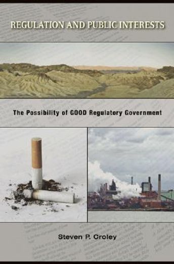 regulation & public interests,the possibility of good regulatory government