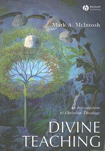 divine teaching,an introduction to christian theology