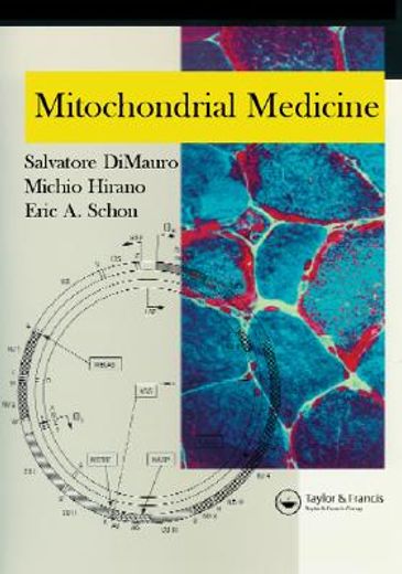 Mitochondrial Medicine (en Inglés)