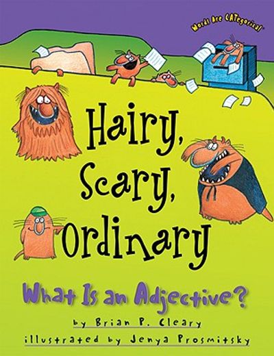 hairy, scary, ordinary,what is an adjective?