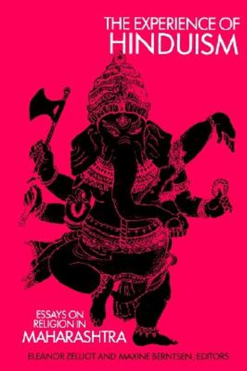 experience of hinduism,essays on religion in maharashtra