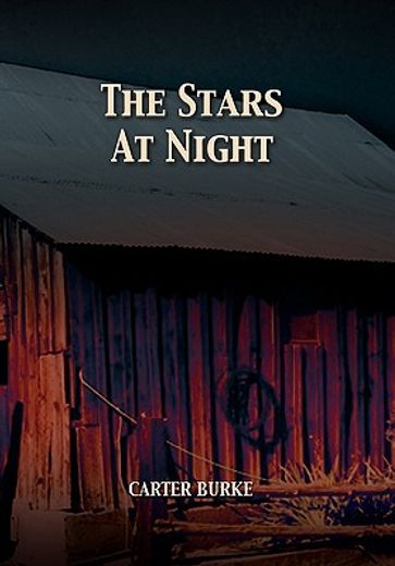 the stars at night (en Inglés)