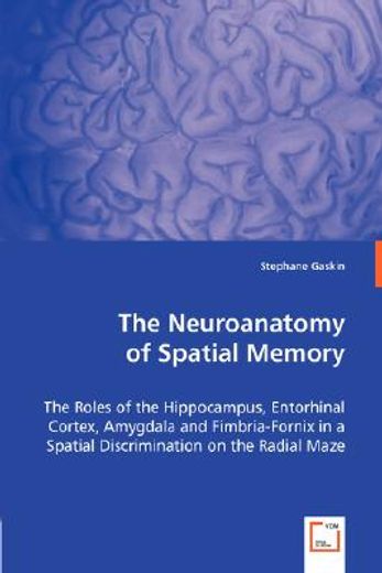 the neuroanatomy of spatial memory
