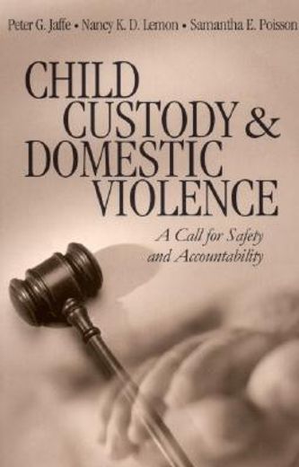 child custody and domestic violence,a call for safety and accountability