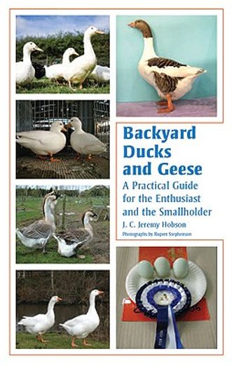 backyard ducks and geese,a practical guide for the enthusiast and the smallholder