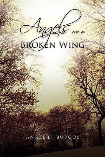 angels on a broken wing