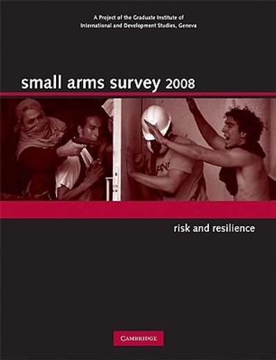 small arms survey 2008,risk and resilience