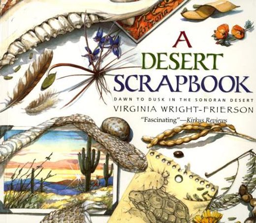 a desert scrapbook,dawn to dusk in the sonoran desert