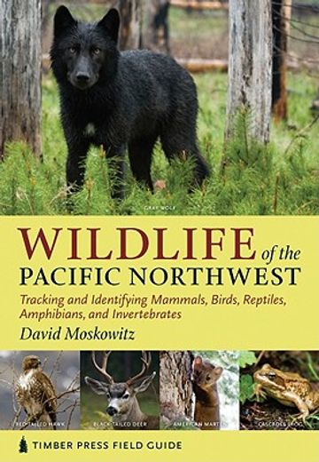 wildlife of the pacific northwest,tracking and identifying mammals, birds, reptiles, amphibians, and invertebrates (en Inglés)
