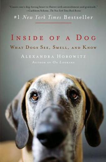 inside of a dog,what dogs see, smell, and know (en Inglés)