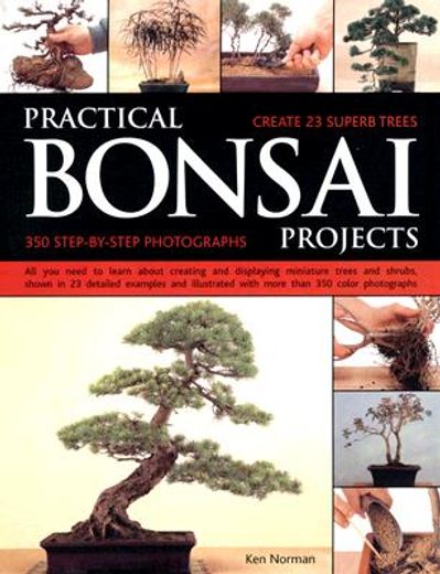 practical bonsai projects,create 23 superb trees : 350 step-by-step photographs
