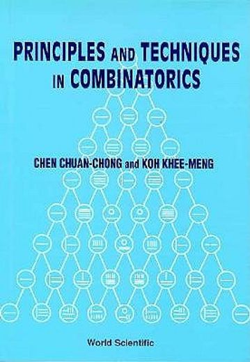 principles and techniques in combinatori