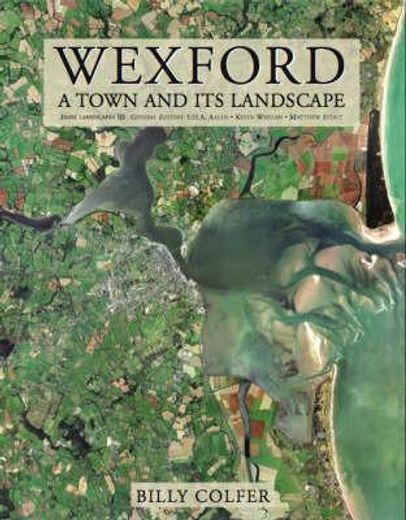 wexford,a town and its landscape