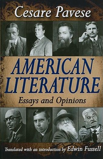 american literature,essays and opinions