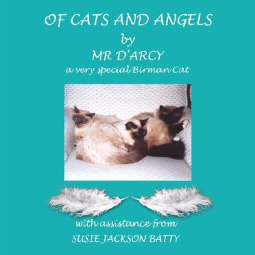 of cats and angels,by mr d´arcy, a very special birman cat