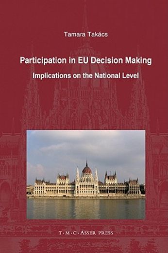 participation in eu decision making,implications on the national level