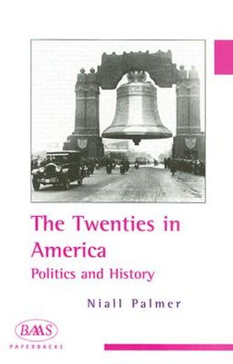 the twenties in america,politics and history