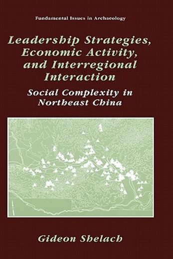 leadership strategies, economic activity, and interregional interaction (en Inglés)