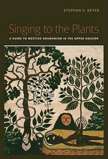 singing to the plants: a guide to mestizo shamanism in the upper amazon (en Inglés)