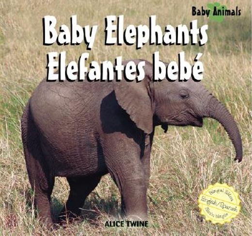 baby elephants/elefantes bebe