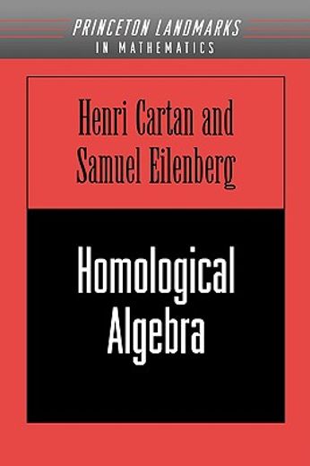 homological algebra