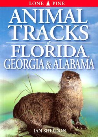 animal tracks of florida, georgia & alabama (en Inglés)