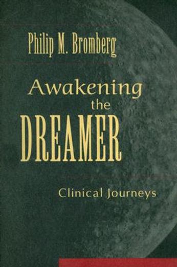 awakening the dreamer,clinical journeys