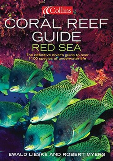Coral Reef Guide: Red Sea: The Definitive Guide to Over 1200 Species of Underwater Life (in English)