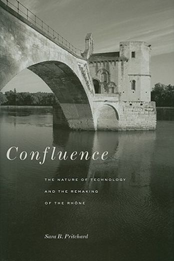 confluence,the nature of technology and the remaking of the rh(ne
