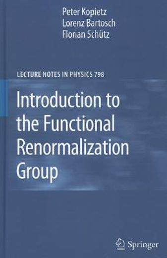 introduction to the functional renormalization group
