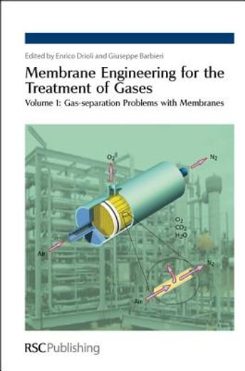 Membrane Engineering for the Treatment of Gases: Volume 1: Gas-Separation Problems with Membranes (en Inglés)