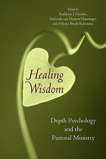 healing wisdom,depth psychology and the pastoral ministry (en Inglés)