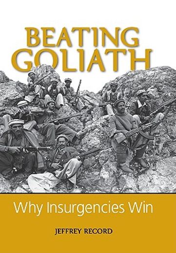 beating goliath,why insurgencies win