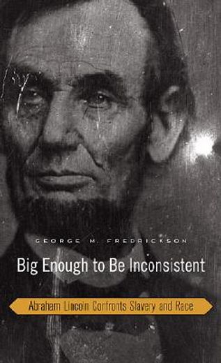 big enough to be inconsistent,abraham lincoln confronts slavery and race