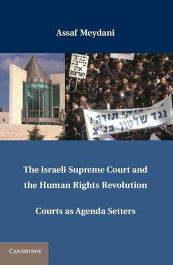 the israeli supreme court and the human rights revolution,courts as agenda setters