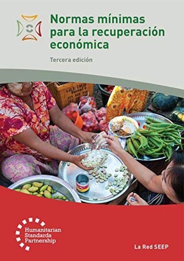 Normas Mínimas Para la Recuperación Económica 3rd Edition