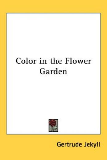 color in the flower garden