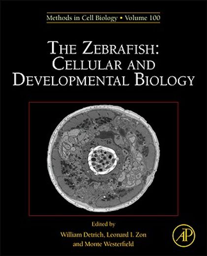 the zebrafish,cellular and developmental biology