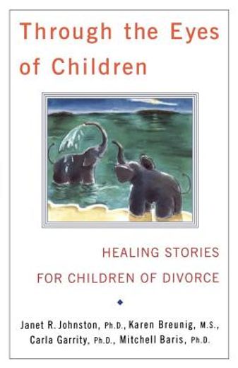 through the eyes of children,healing stories for children of divorce (in English)