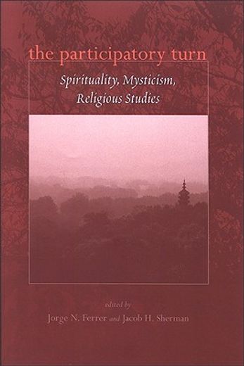 the participatory turn,spirituality, mysticism, religious studies
