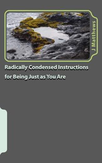 radically condensed instructions for being just as you are