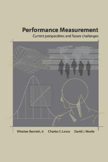 performance measurement,current perspectives and future challenges