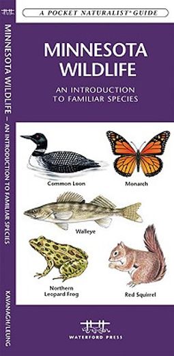minnesota wildlife,an introduction to familiar species