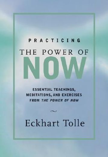practicing the power of now,essential teachings, meditations, and exercises from the power of now