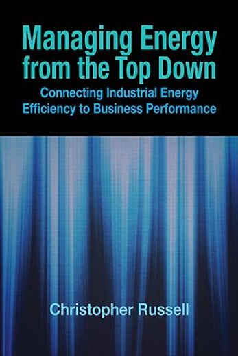 Managing Energy from the Top Down: Connecting Industrial Energy Efficiency to Business Performance (en Inglés)