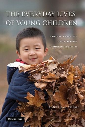 The Everyday Lives of Young Children Hardback: Culture, Class, and Child Rearing in Diverse Societies: 0 