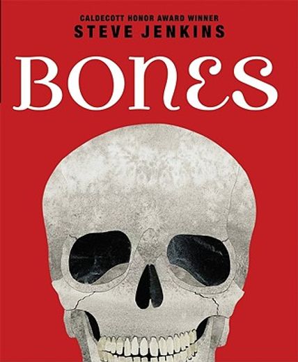 bones (en Inglés)