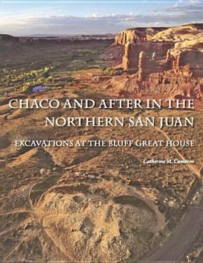 chaco and after in the nothern san juan,excavations at the bluff great house