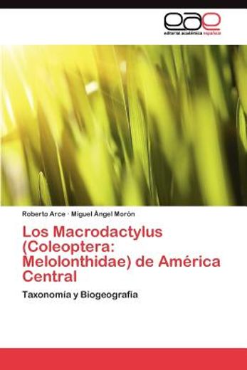 los macrodactylus (coleoptera: melolonthidae) de am rica central